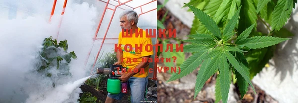 прущая мука Кукмор