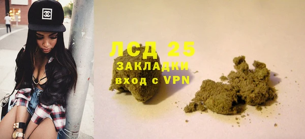 прущие грибы Красноперекопск