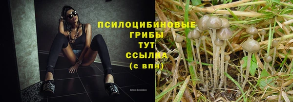 прущая мука Куйбышев