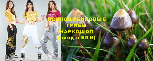 прущие крисы Приозерск